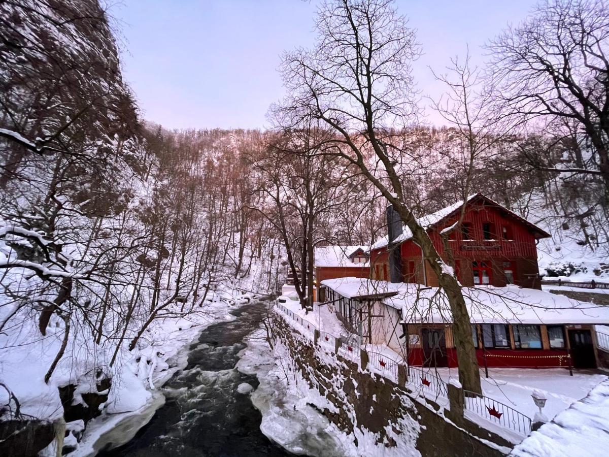 Gasthaus Koenigsruhe Ξενοδοχείο Thale Εξωτερικό φωτογραφία